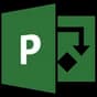 MS Project